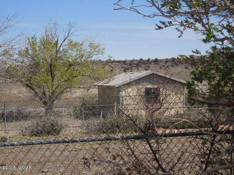 1549 E 2nd, Springerville, AZ 85938 photo 10