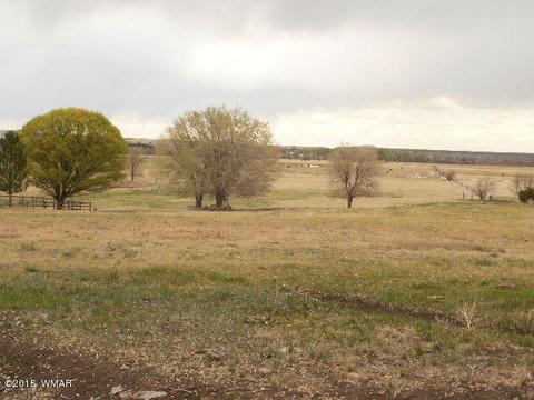 184 W 4th Ave, Eagar, AZ 85925 photo 4