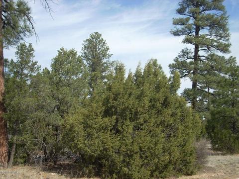 2970 Pine Rim Rd, Overgaard, AZ 85933 photo 7