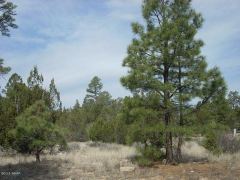 2970 Pine Rim Rd, Overgaard, AZ 85933 photo 11
