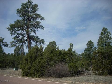 2970 Pine Rim Rd, Overgaard, AZ 85933 photo 4