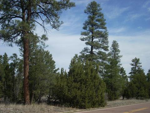 2970 Pine Rim Rd, Overgaard, AZ 85933 photo 13