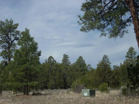 2970 Pine Rim Rd, Overgaard, AZ 85933 photo 5