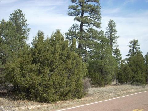 2970 Pine Rim Rd, Overgaard, AZ 85933 photo 10
