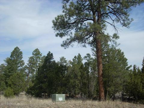 2970 Pine Rim Rd, Overgaard, AZ 85933 photo 12