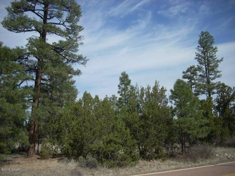 2970 Pine Rim Rd, Overgaard, AZ 85933 photo 3