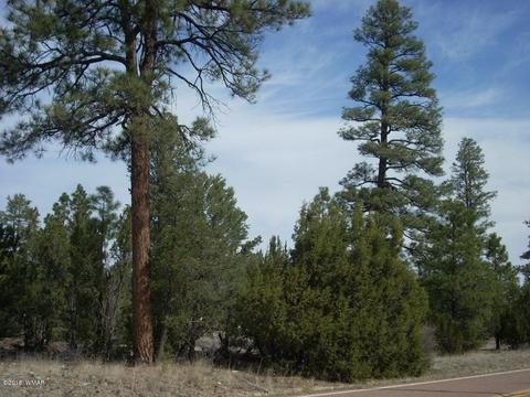 2970 Pine Rim Rd, Overgaard, AZ 85933 photo 1