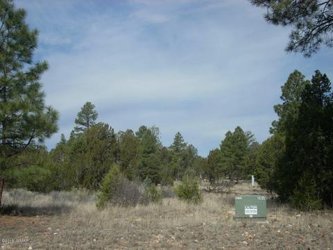 2970 Pine Rim Rd, Overgaard, AZ 85933 photo 9