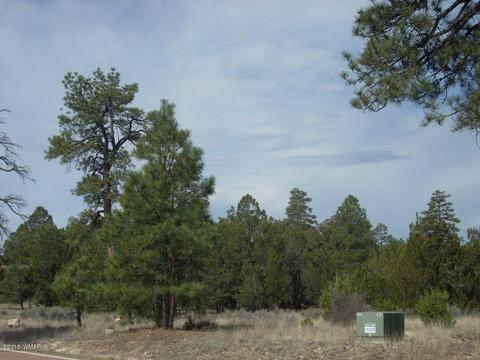2970 Pine Rim Rd, Overgaard, AZ 85933 photo 6