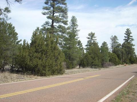 2970 Pine Rim Rd, Overgaard, AZ 85933 photo 14