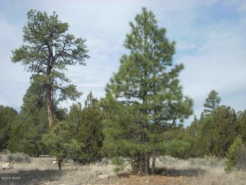 2970 Pine Rim Rd, Overgaard, AZ 85933 photo 8