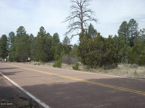 2970 Pine Rim Rd, Overgaard, AZ 85933 photo 15
