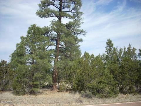 2970 Pine Rim Rd, Overgaard, AZ 85933 photo 2