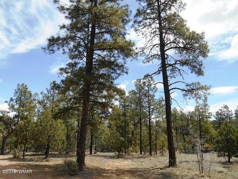 2056 Lone Mountain Rd, Overgaard, AZ 85933 photo 9