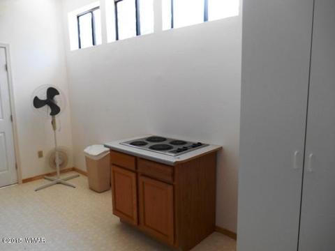 2056 Lone Mountain Rd, Overgaard, AZ 85933 photo 17