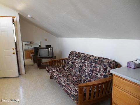 2056 Lone Mountain Rd, Overgaard, AZ 85933 photo 15