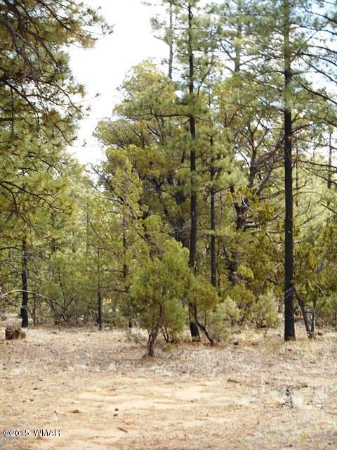 2056 Lone Mountain Rd, Overgaard, AZ 85933 photo 13