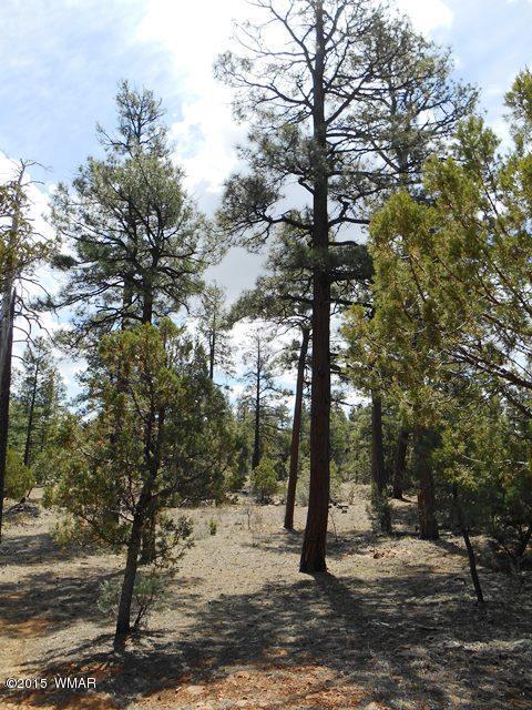2056 Lone Mountain Rd, Overgaard, AZ 85933 photo 27