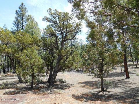 2056 Lone Mountain Rd, Overgaard, AZ 85933 photo 26