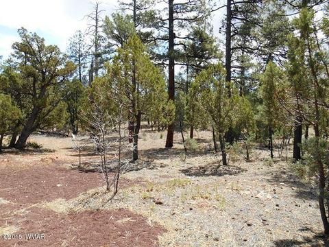 2056 Lone Mountain Rd, Overgaard, AZ 85933 photo 24