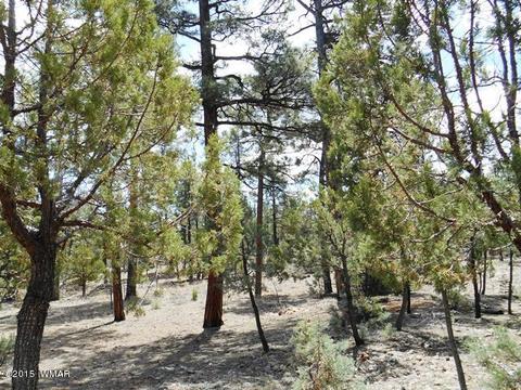 2056 Lone Mountain Rd, Overgaard, AZ 85933 photo 25
