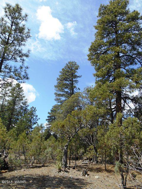 2056 Lone Mountain Rd, Overgaard, AZ 85933 photo 5