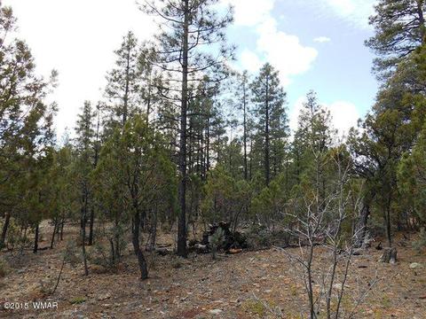 2056 Lone Mountain Rd, Overgaard, AZ 85933 photo 10
