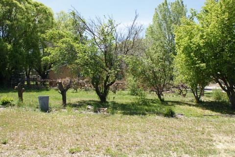 495 N 1st, Snowflake, AZ 85937 photo 30