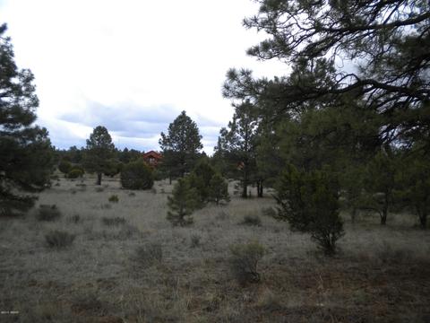 3369 Tonto Dr, Overgaard, AZ 85933 photo 3
