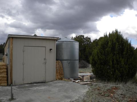 3369 Tonto Dr, Overgaard, AZ 85933 photo 6