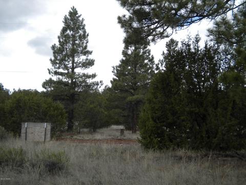 3369 Tonto Dr, Overgaard, AZ 85933 photo 11