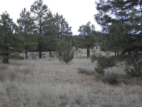 3369 Tonto Dr, Overgaard, AZ 85933 photo 10
