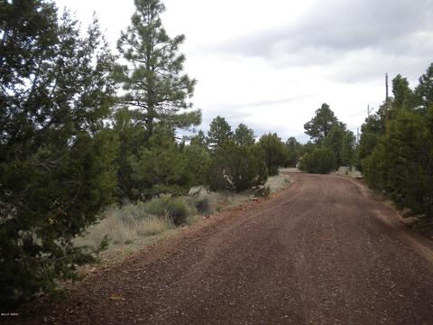 3369 Tonto Dr, Overgaard, AZ 85933 photo 5