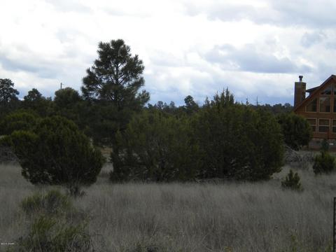 3369 Tonto Dr, Overgaard, AZ 85933 photo 4