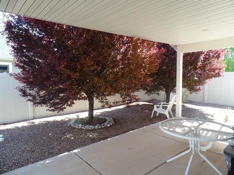 1015 E Monroe St, Snowflake, AZ 85937 photo 17