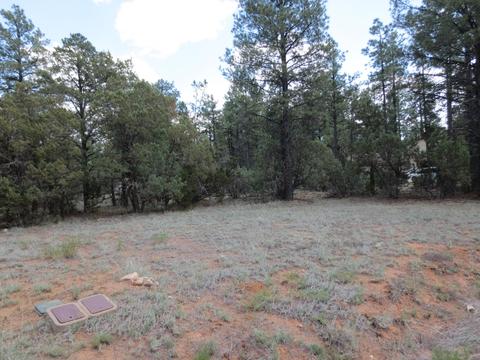 2867 Deer Trl, Overgaard, AZ 85933 photo 3