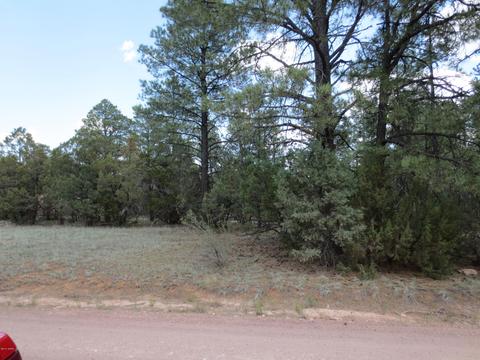 2867 Deer Trl, Overgaard, AZ 85933 photo 1