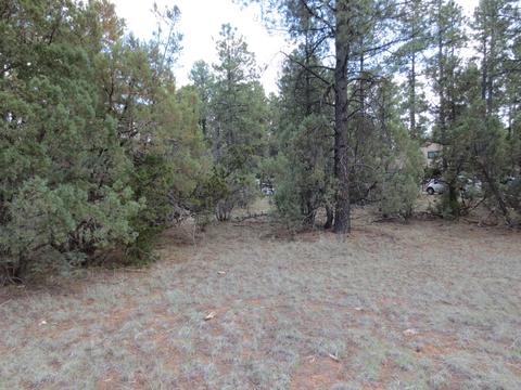 2867 Deer Trl, Overgaard, AZ 85933 photo 4