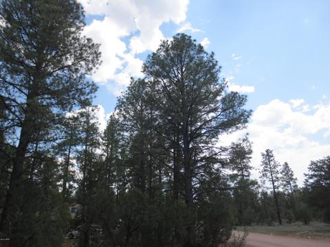 2867 Deer Trl, Overgaard, AZ 85933 photo 5