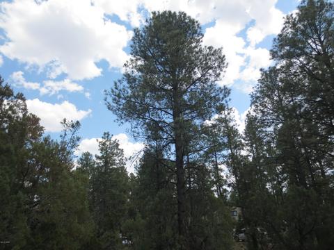 2867 Deer Trl, Overgaard, AZ 85933 photo 6