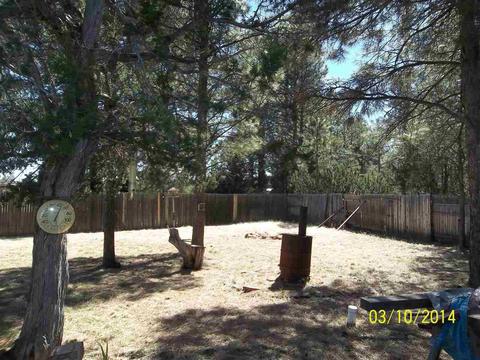 2843 Timber Trail Loop, Overgaard, AZ 85933 photo 28