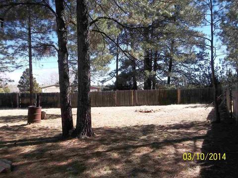 2843 Timber Trail Loop, Overgaard, AZ 85933 photo 29