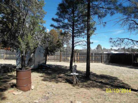 2843 Timber Trail Loop, Overgaard, AZ 85933 photo 32
