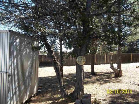 2843 Timber Trail Loop, Overgaard, AZ 85933 photo 30