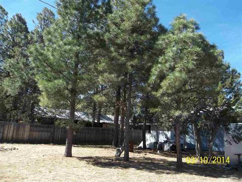 2843 Timber Trail Loop, Overgaard, AZ 85933 photo 27