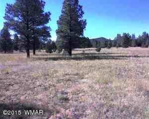lot A Tbd Thunderhorse Rd, Lakeside, AZ 85929