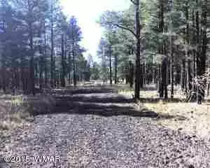 lot D Tbd Thunderhorse Rd, Lakeside, AZ 85929