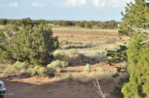 4496 Jay Rd, Snowflake, AZ 85937 photo 16