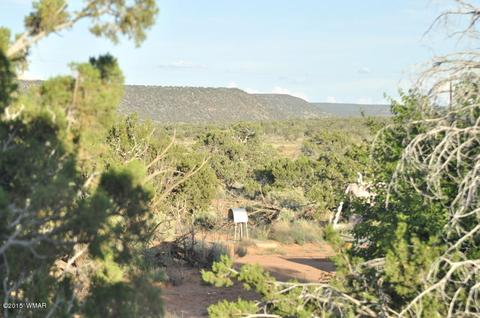 4496 Jay Rd, Snowflake, AZ 85937 photo 15