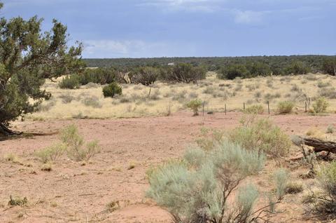 4496 Jay Rd, Snowflake, AZ 85937 photo 30